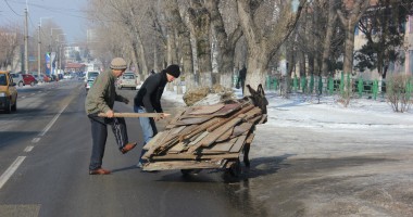 CONSTANȚA ÎN IMAGINI / Numai măgari în trafic - 4
