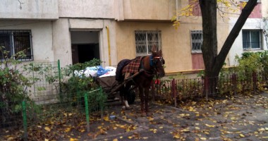 Cu calul "parcat" la scară