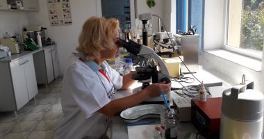 Creatorii de viitor. Institutul Palas, pepinieră de rase noi - 2