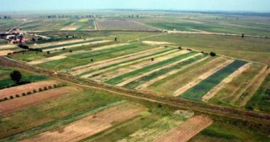 Stire din Economie : Insula Mare a Brăilei trece  în exploatarea unui concern  din Emiratele Arabe Unite