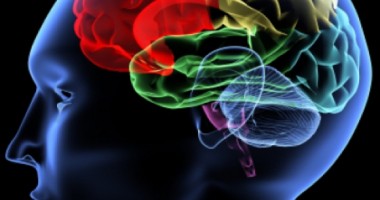 Stire din Cultură-Educație : Cât de importantă este inteligența emoțională