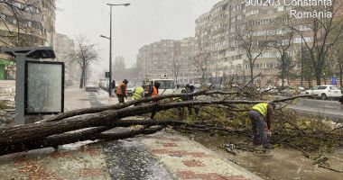 Stire din Social : GALERIE FOTO Oficial Primăria Constanța: Efectele dezastruoase lăsate în urmă de vântul puternic