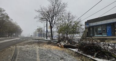 GALERIE FOTO Oficial Primăria Constanța: Efectele dezastruoase lăsate în urmă de vântul puternic - 2