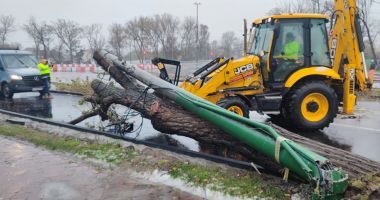 GALERIE FOTO Oficial Primăria Constanța: Efectele dezastruoase lăsate în urmă de vântul puternic - 3