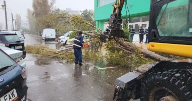 GALERIE FOTO Oficial Primăria Constanța: Efectele dezastruoase lăsate în urmă de vântul puternic - 4