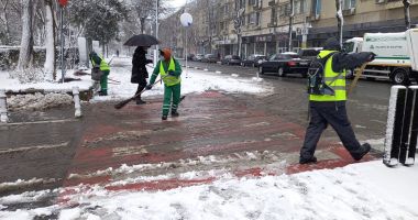 COD PORTOCALIU de VISCOL. Cum se circulă, la Constanța - 3