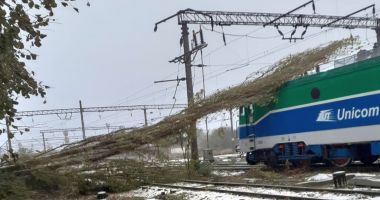 "Am avut intervenţii pe viscol şi ninsori, în acele ore când nu ai fi scos nici câinele din casă!" - 2