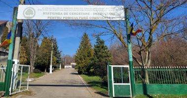 "Pentru a face performanţă în cercetare, ai nevoie de laboratoare de top şi de tineri sclipitori!" - 2