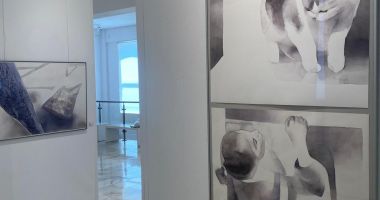 Mariea Petcu Chioibaş rupe din viață instantanee şi fragmentează vizibilul în cadre cinematografice - 4