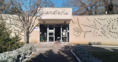 Iulian Călin: "Delfinii din Ucraina vor sta la noi cel puţin trei ani" - 4