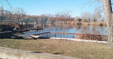 Iulian Călin: "Delfinii din Ucraina vor sta la noi cel puţin trei ani" - 5