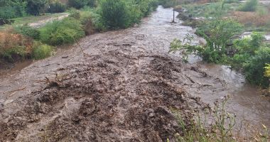Mai multe gospodării au fost inundate în județul Constanța - 8