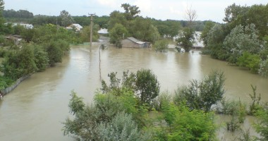 Stire din Social : COD PORTOCALIU pe Dunăre / Sute de hectare de terenuri agricole, păduri și pășuni, inundate