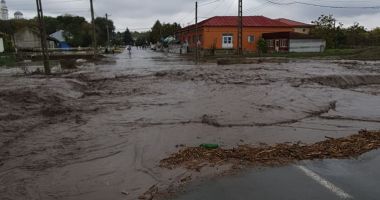 GALERIE FOTO / Inundaţii şi copaci căzuţi pe mai multe drumuri, în Constanţa - 3