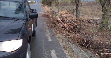 GALERIE FOTO / Inundaţii şi copaci căzuţi pe mai multe drumuri, în Constanţa - 2