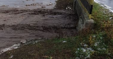 GALERIE FOTO / Inundaţii şi copaci căzuţi pe mai multe drumuri, în Constanţa - 5