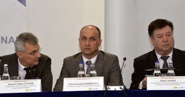 "Învățământul românesc și economia reală sunt două linii paralele!" - 4