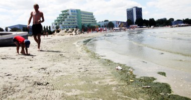 Invazie de alge pe litoral: "Constanța  și sudul litoralului,  cele mai afectate" - 2