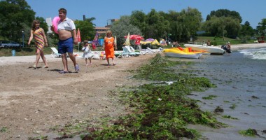 Invazie de alge pe litoral: "Constanța  și sudul litoralului,  cele mai afectate" - 4