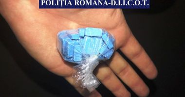 GALERIE FOTO / Invazie de droguri pe litoral - 1