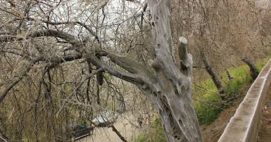 IMAGINI ÎNFRICOȘĂTOARE LA CONSTANȚA. "În viața mea nu am văzut așa ceva" - 9