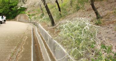 Stire din Social : IMAGINI ÎNFRICOȘĂTOARE LA CONSTANȚA. "În viața mea nu am văzut așa ceva"