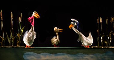 Stire din Cultură-Educație : Invitaţie pentru cei mici. „Răţuşca cea urâtă”, pe scena Teatrului „Căluţul de mare”