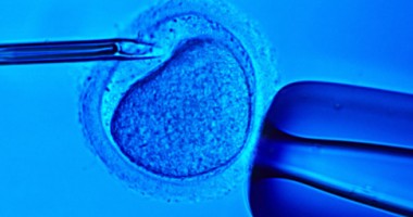 Stire din Sănătate : Sute de cupluri beneficiază gratuit de fertilizarea in vitro