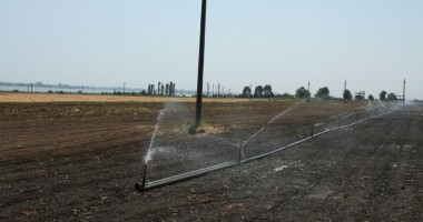 Stire din Economie : Cine irigă anul acesta? Iată cât ar trebui să scoți din buzunare