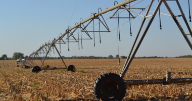 Stire din Economie : Firma "Novus" a fost prădată de hoți