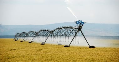 Stire din Economie : Irigațiile – prioritatea numărul unu a Ministerului Agriculturii