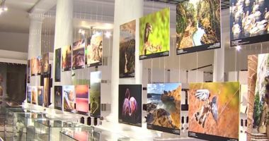 Stire din Actualitate : Frumusețile naturale din Israel, aduse la București într-o expoziție fotografică