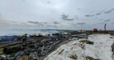 Stire din Eveniment : 70 de vaci au murit, după ce ferma în care se aflau a luat foc