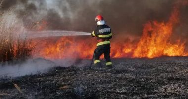 ISU Constanța atrage atenția că este interzisă arderea miriștilor, a stufului s-au vegetației ierboase