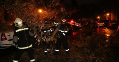 Stire din Social : Codul galben a făcut ravagii. Panouri luate de vânt pe A2. Copaci căzuți și mașini avariate