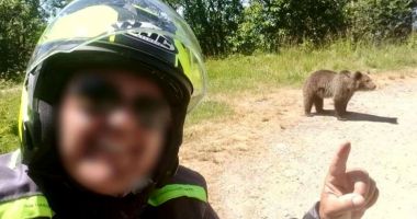 Stire din Actualitate : Greșeala fatală făcută de italianul mort pe Transfăgărășan. „Iată ursul! Ce frumos! Vine spre mine!”