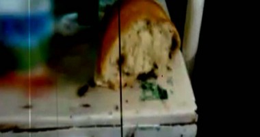 Stire din Sănătate : VIDEO. Gândaci printre pacienți, la Spitalul Județean Constanța - Filmare cu CAMERA ASCUNSĂ