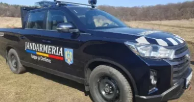 Stire din Eveniment : Intervenție a jandarmilor după ce un urs speriat de un autoturism a pătruns într-o curte