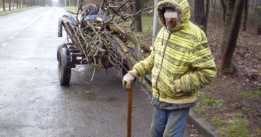 Stire din Eveniment : Prins de jandarmi  în timp ce tăia copaci de zor dintr-o pădure