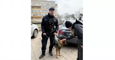 Stire din Eveniment : Peste 150 de misiuni ale jandarmilor constănțeni în prima parte a lunii martie. Amenzile au depășit 61.000 de lei
