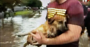 Jandarm din Galați, erou pentru un cățel, la un pas să fie luat de ape - 2