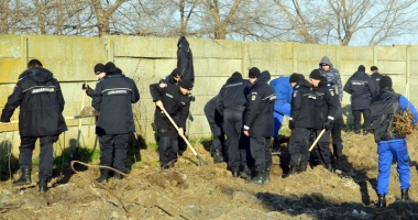 Jandarmii constănțeni au plantat copaci în fața unității - 2