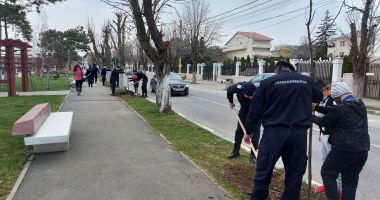 Jandarmii constănţeni solidari cu natura. 171 puieţi de stejari, plantaţi la Techirghiol - 2