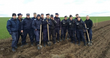 Jandarmii constănțeni  au plantat pomi, la Peștera - 3