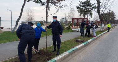 Jandarmii constănţeni solidari cu natura. 171 puieţi de stejari, plantaţi la Techirghiol - 3