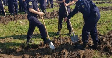 Jandarmii, acțiune de plantare de puieți în județul Constanța - 3