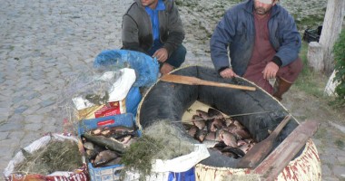Stire din Eveniment : Pescari "amatori" căzuți în plasa… jandarmilor