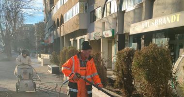 Stire din Social : Se lucrează la reabilitarea jardinierelor de pe marile bulevarde din Constanța