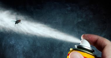 Stire din Eveniment : Soții care au murit intoxicați cu insecticid cumpăraseră spray-ul din comerț. Avertismentul specialiștilor