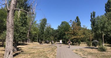 Stire din Politică-Administrație : Registrul spaţiilor verzi, finalizat după nouă ani de măcel al parcurilor